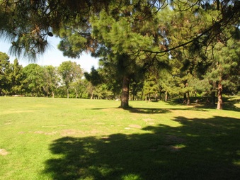 Enlarge photo 58