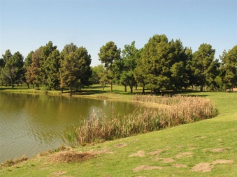 Enlarge photo 59