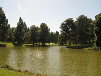 Enlarge photo 60
