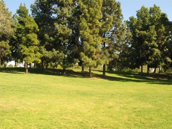 Enlarge photo 62