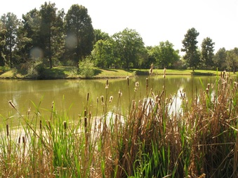 Enlarge photo 63