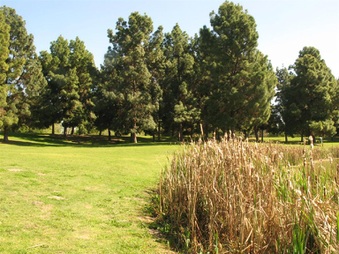 Enlarge photo 64