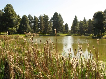 Enlarge photo 65