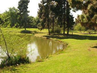 Enlarge photo 67