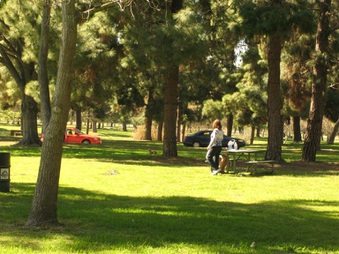 Enlarge photo 68