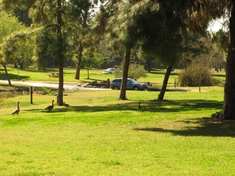 Enlarge photo 69