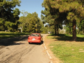 Enlarge photo 73