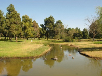 Enlarge photo 74