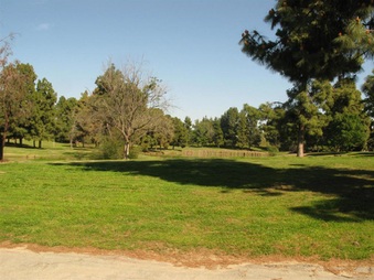 Enlarge photo 75