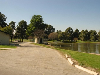 Enlarge photo 77
