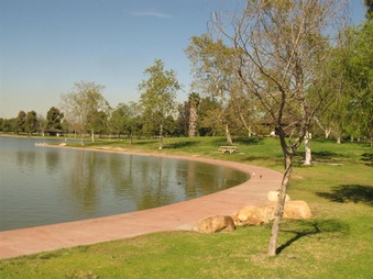 Enlarge photo 80