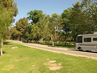 Enlarge photo 81