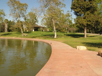 Enlarge photo 82