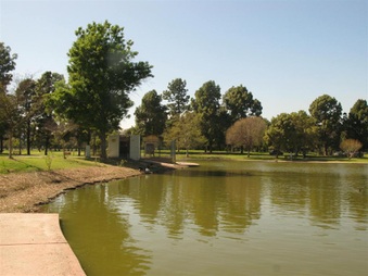 Enlarge photo 83