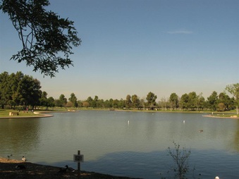 Enlarge photo 85
