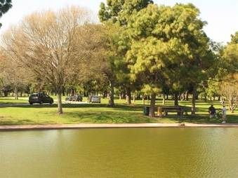 Enlarge photo 87