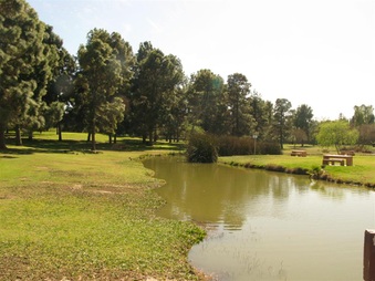 Enlarge photo 88