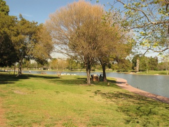 Enlarge photo 92