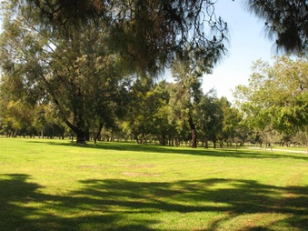 Enlarge photo 94