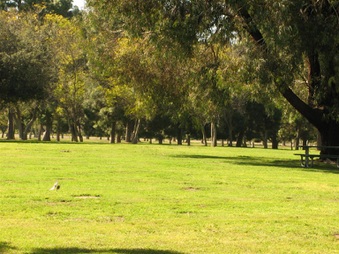 Enlarge photo 95