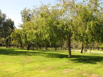 Enlarge photo 96