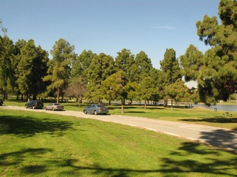 Enlarge photo 97