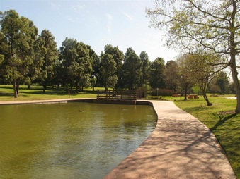 Enlarge photo 102