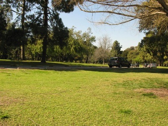 Enlarge photo 103