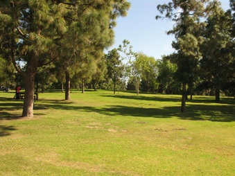 Enlarge photo 104
