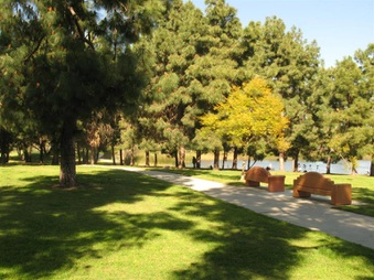 Enlarge photo 11