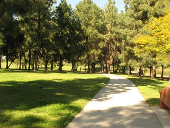 Enlarge photo 12