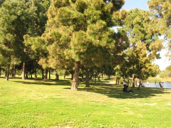 Enlarge photo 18