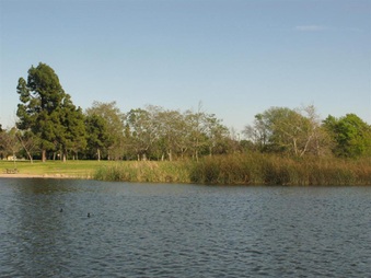 Enlarge photo 20