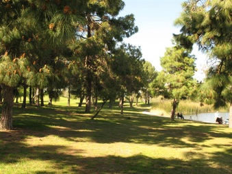 Enlarge photo 23