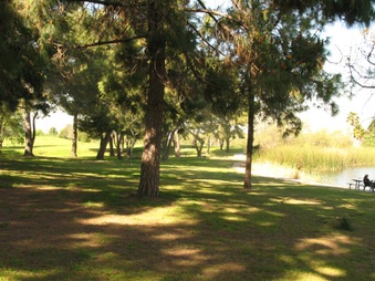 Enlarge photo 25