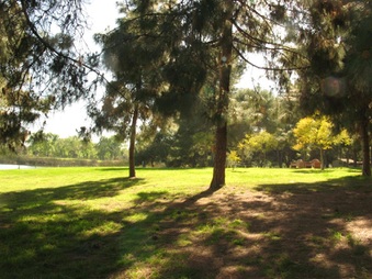 Enlarge photo 27