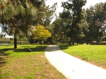 Enlarge photo 28