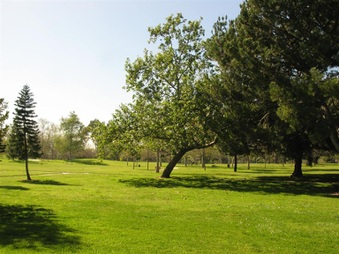 Enlarge photo 29