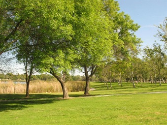 Enlarge photo 32