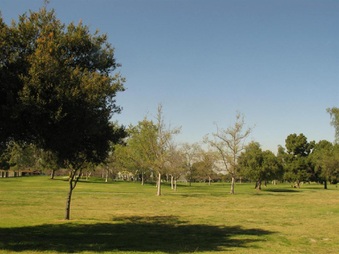 Enlarge photo 33