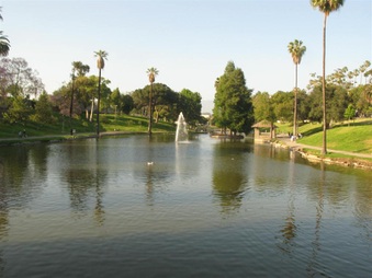 Enlarge photo 20