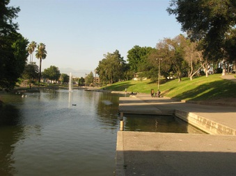 Enlarge photo 24