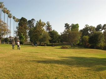Enlarge photo 31