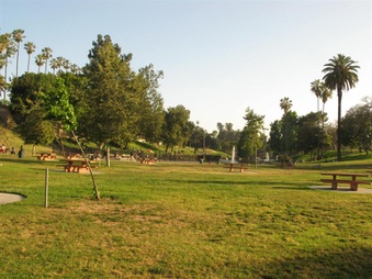 Enlarge photo 43