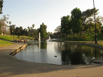 Enlarge photo 50