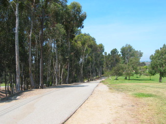 Enlarge photo 24
