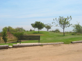 Enlarge photo 25