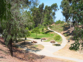 Enlarge photo 29