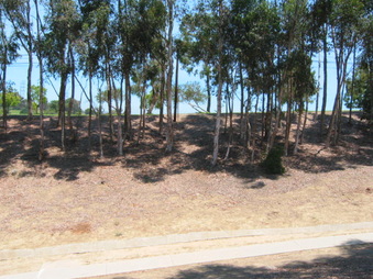 Enlarge photo 30