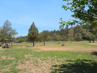Enlarge photo 36